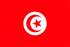 Мас-рестлинг Тунис
