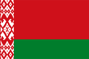 Traditional wrestling Belarusian public association 