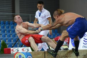 Participants of the Mas-Westling World Cup -2017 final stage: men, up to 80 kg