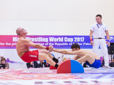 Mas-Wrestling World Cup - 2017 results