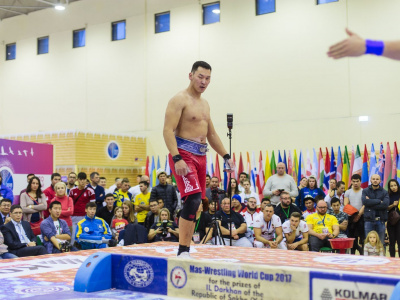 Mas-Wrestling World Cup - 2017 results