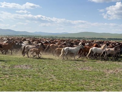 On the visit to Mongolia ahead of the World Championship