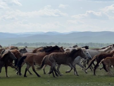 On the visit to Mongolia ahead of the World Championship
