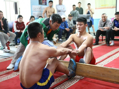 Федерация мас-рестлинга Монголии