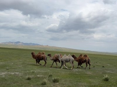 On the visit to Mongolia ahead of the World Championship