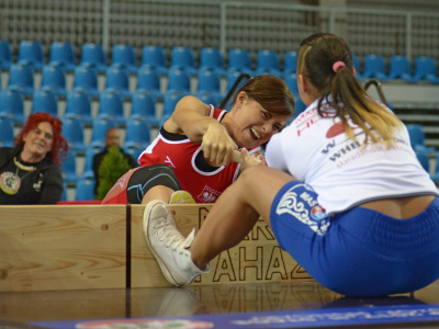 Participants of the Mas-Westling World Cup -2017 final stage: women up to 55 kg, up to 65 kg, up to 75 kg