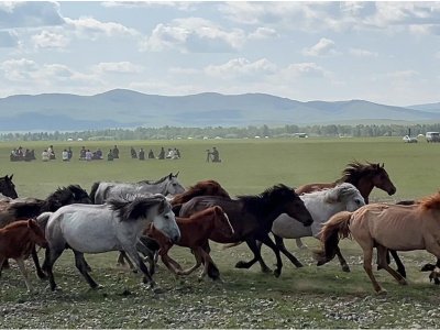 On the visit to Mongolia ahead of the World Championship