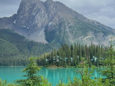 We will set increasingly global goals for promoting mas-wrestling in Canada