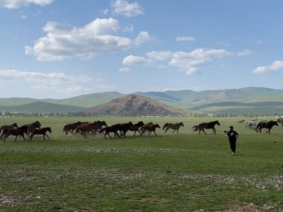 On the visit to Mongolia ahead of the World Championship