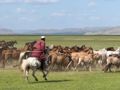 О визите в Монголию в преддверии чемпионата мира